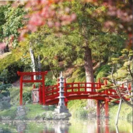 Darmaillacq Avec Balcon, Parking, Netflix * Cholet