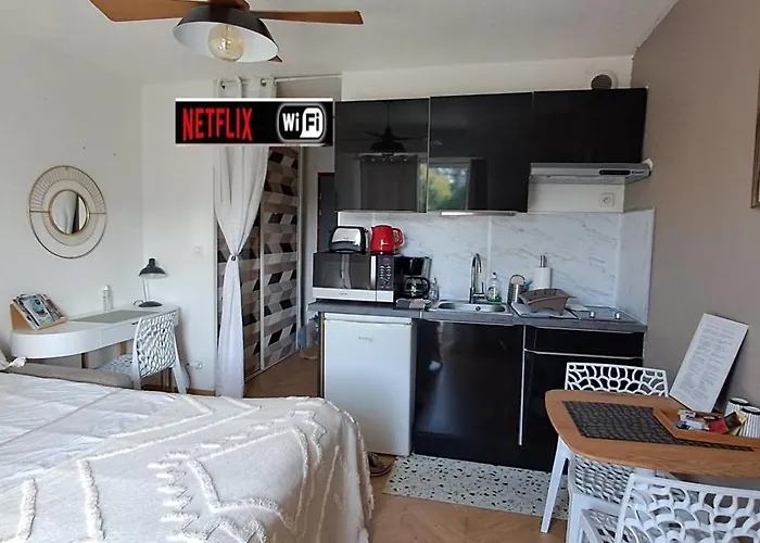 Darmaillacq Avec Balcon, Parking, Netflix 公寓 绍莱